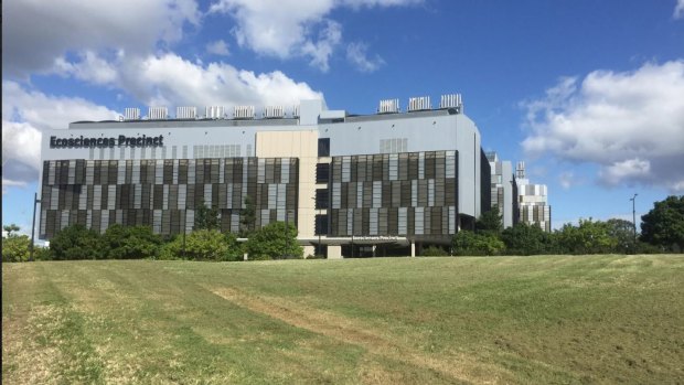 The new inner-south high school will be built at the Ecosciences precinct at Dutton Park.