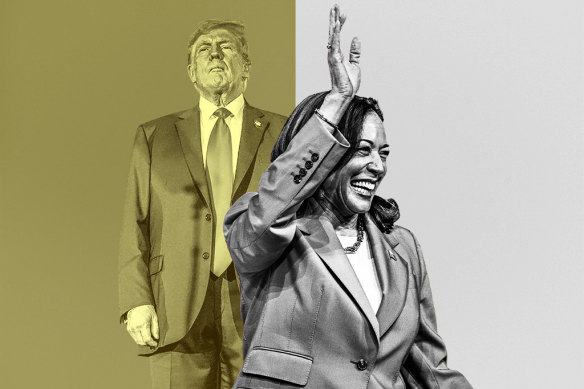 Kamala Harris is the frontrunner to go up against Donald Trump.