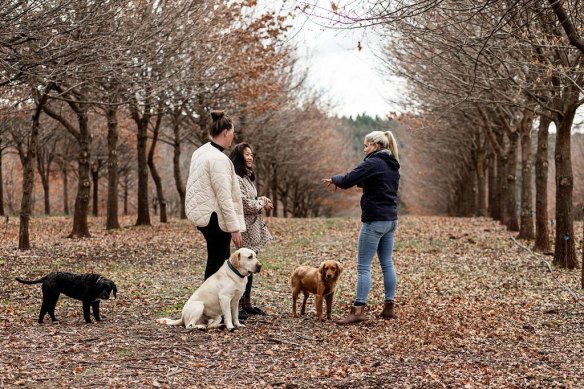 Joining the hunt at the Truffle Farm.