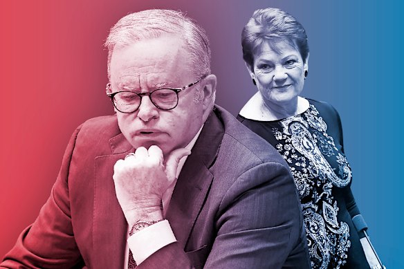 Prime Minister Anthony Albanese and Labor's polls were just 5 percentage points higher than Pauline Hanson's One Nation poll in March's Resolve Political Monitor.