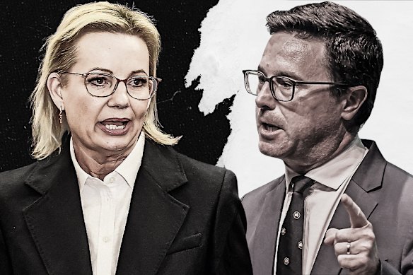 Sussan Ley and David Littleproud are trialling a divorce, but there are signs the Libs and Nats may get back together. 