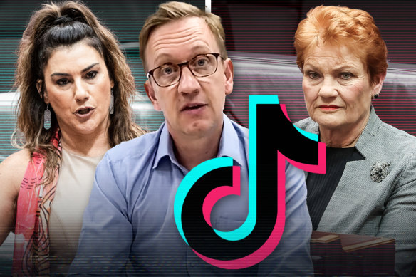 Labor MP Julian Hill (centre) and senators Pauline Hanson and Lidia Thorpe are Australia’s three most followed politicians on TikTok.