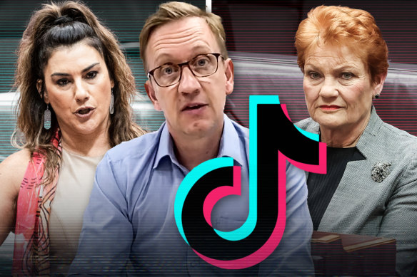 Labor MP Julian Hill and senators Pauline Hanson and Lidia Thorpe are the three most followed federal politicians on TikTok.