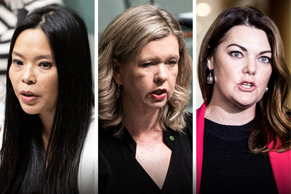 Labor MP Sally Sitou, Liberal MP Bridget Archer and Greens senator Sarah Hanson-Young are co-chairs of a new federal parliamentary group aimed at boosting the ranks of women in public office.