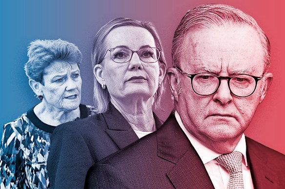 Pauline Hanson, Sussan Ley and Anthony Albanese.