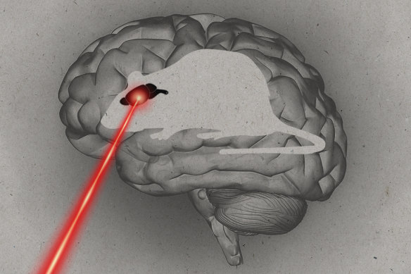 Thousands of potential stroke medicines have worked in animals but failed in clinical trials.