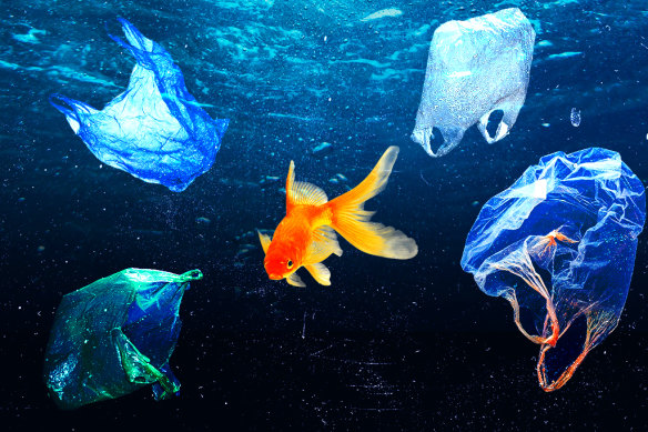 The amount of plastic in our oceans will likely outweigh fish, but scientists hope to change that.