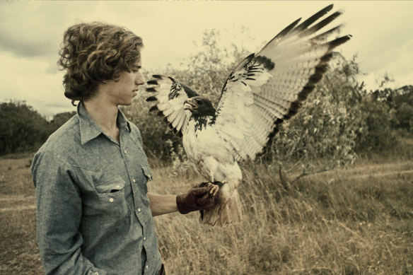Bobby Kennedy Jr., who developed a love of falconry, handles an augur hawk in a wildlife television special in 1975.  