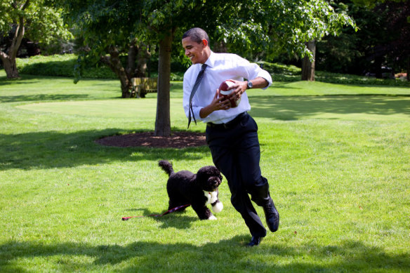 President Barack Obama plays football with the family dog Bo on the South Lawn of the  White House in 2009.