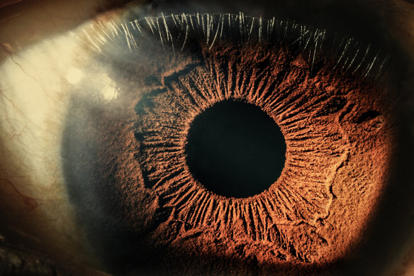 The iris is a muscle, but where does the colour come from?