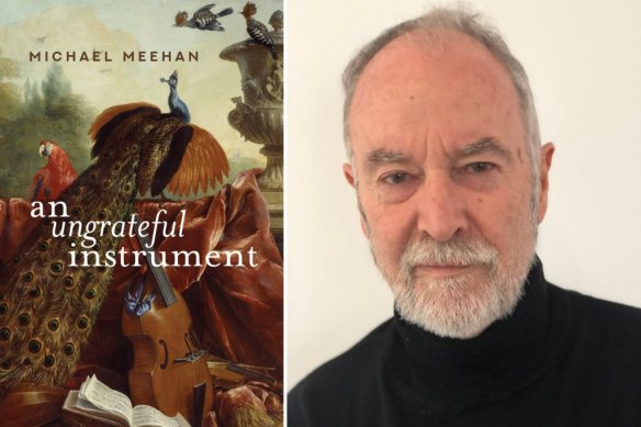 Michael Meehan's An Ungrateful Instrument keeps readers on the edge of foreboding.