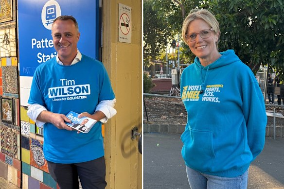 Liberal Tim Wilson and independent Zoe Daniel on the campaign trail.