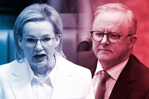 Prime Minister Anthony Albanese has reason to be happy with the latest Resolve Political Monitor, but so does Opposition Leader Sussan Ley.