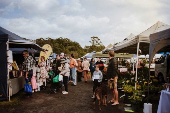 Browse 140 stalls at Yandina Country Markets.