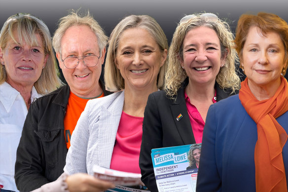 Independent candidates Felicity Frederico, Ian Birchall, Sophie Torney, Melissa Lowe and Suzanna Sheed.