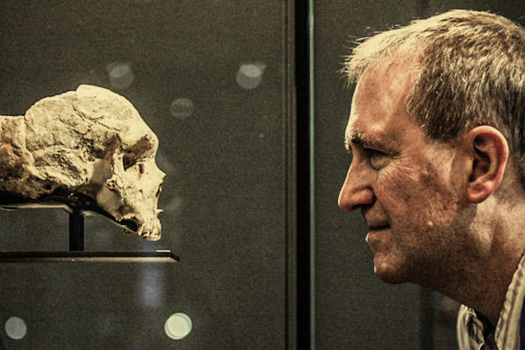 Chris Stringer with a Neanderthal skull  at the Natural History Museum in London in 2012.  
