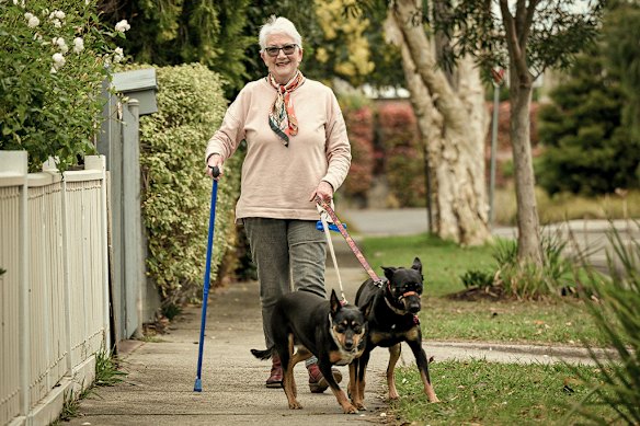 Jeanette Walker uses a hiking stick on walks with her kelpies. 