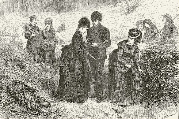 People “recruit” rural ferns for replanting or arranging in vases at their city homes, in this 1871 engraving from The Illustrated London News.