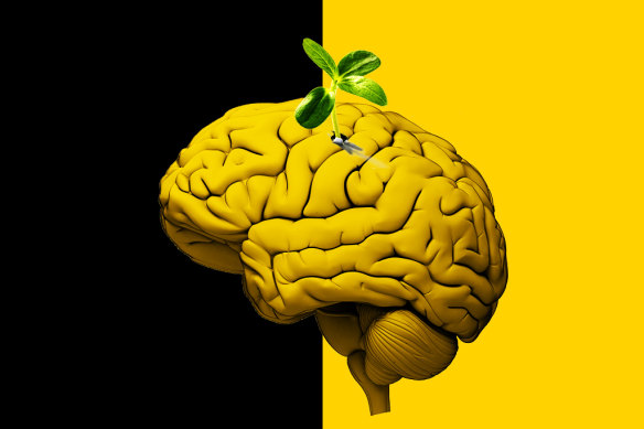 Biohacking is the concept that we can enhance our biology to improve our health span, wellbeing and performance.