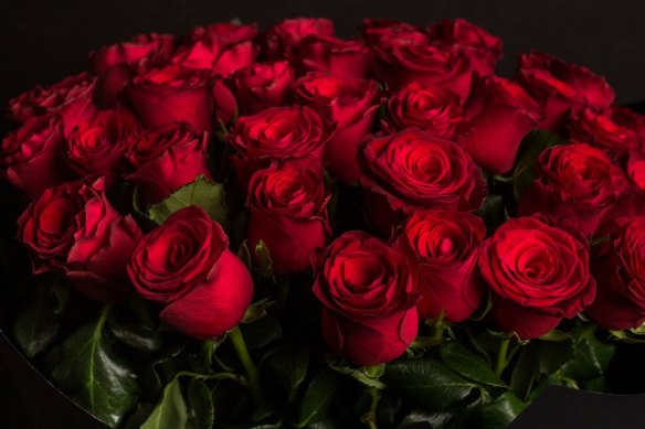 Nothing signifies infatuation like red roses on Valentine’s Day, but local growers struggle to meet demand.