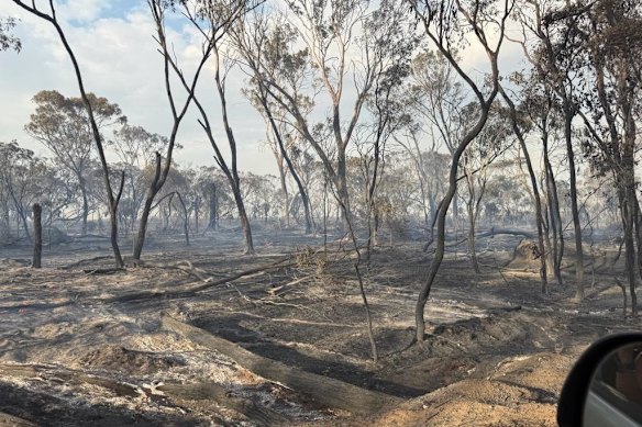 The blaze has burnt through more than 5000 hectares.