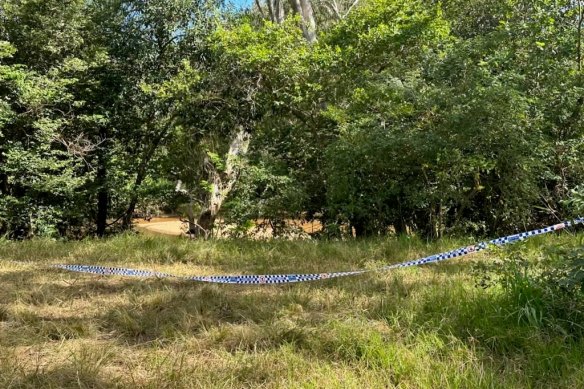 The Environment Department said Lakefield National Park was known crocodile country.