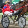 Canberra to host best harness racing meeting in years