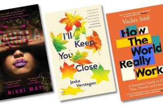 Reviews: Wahala by Nikki May, I'll Keep You Close by Jeska Verstegen and How the World Really Works by Vaclav Smil.