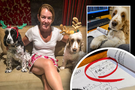 Melissa Caddick and her dogs, inset Melissa Caddick’s dog Peter Pan seated at the fraudster’s desk in front of paperwork saying she was making a $46,000 per day profit.