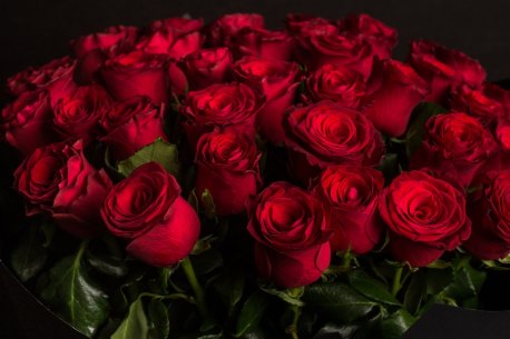 Nothing signifies infatuation like red roses on Valentine’s Day, but local growers struggle to meet demand.