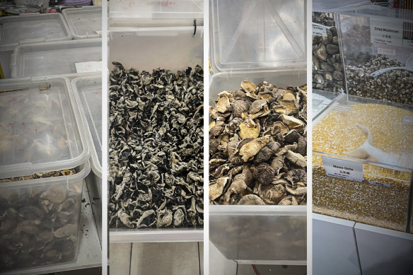 Mushrooms found by The Age in grocery stores in Melbourne’s suburbs
