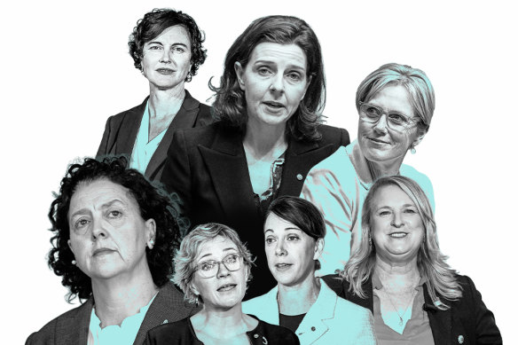 Teal independent MPs (l-r) Monique Ryan, Kate Chaney, Zali Steggall, Allegra Spender, Sophie Scamps, Zoe Daniel and Kylea Tink.