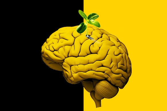 Biohacking is the concept that we can enhance our biology to improve our health span, wellbeing and performance.