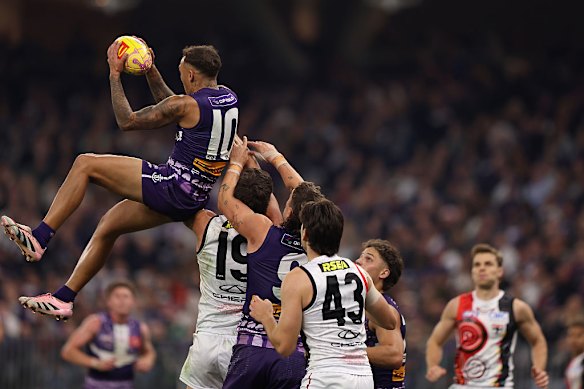 Shai Bolton climbs high to take a spectacular grab as the Dockers defeated St Kilda in round 11.