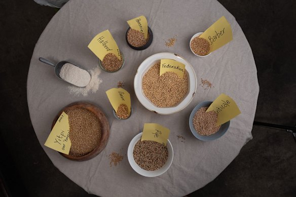 Miller + Baker works with a range of different wheat strains.