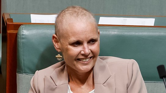 Labor MP Peta Murphy in the House of Representatives this year.