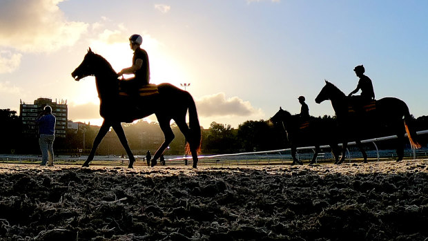 Two trainers have been attending Randwick trackwork from lockdown local government area in a breach of Racing NSW’s COVID protocols. 