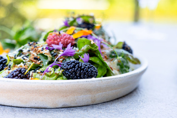 Maple miso rocket and mustard leaves salad, fresh mulberry, sesame and almond praline.