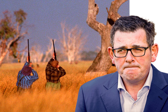 A number of Labor MPs in Premier Daniel Andrews’ Labor caucus would support a ban on duck hunting.