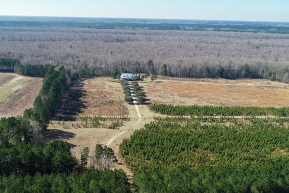 The colossal South Carolina hunting farm where Maggie and Paul Murdaugh were found shot dead.