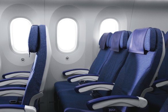 Standard economy seats (with actual window).