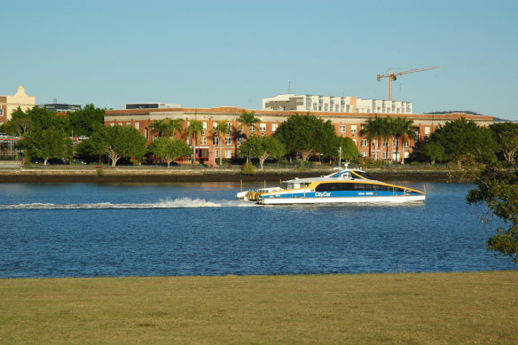 Teneriffe as seen from Bulimba. The study area’s western-shore range spanned from New Farm Park to the Teneriffe Ferry Terminal.