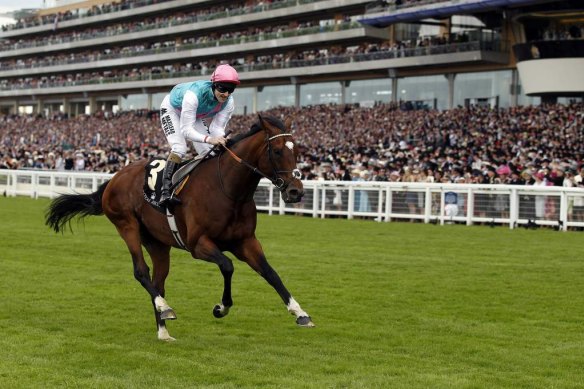 Frankel carries the Juddmonte Farms colours to victory in the Queen Anne Stakes  at Royal Ascot.