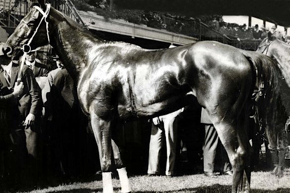 Phar Lap, winner of the 1930 Melbourne Cup.