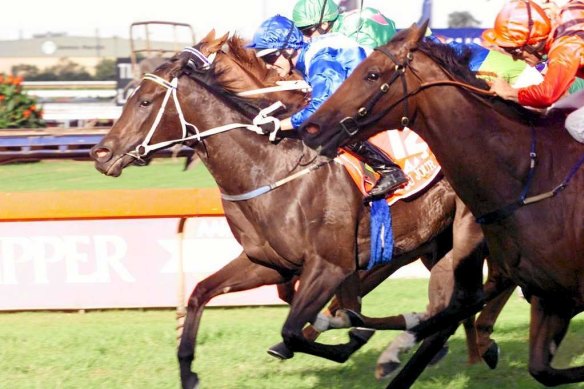In one of the most amazing victories seen in Golden Slipper history, Belle Du Jour (blue silks, ridden by Danny Beasley) reared in the barriers and badly missed the start in 2000, yet still managed to charge from the back of the field to win.