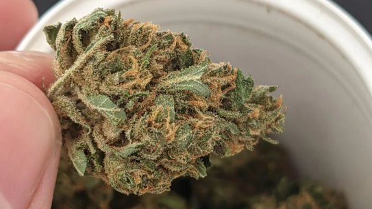 Australian medicinal cannabis company Montu sells the Circle brand of cannabis.