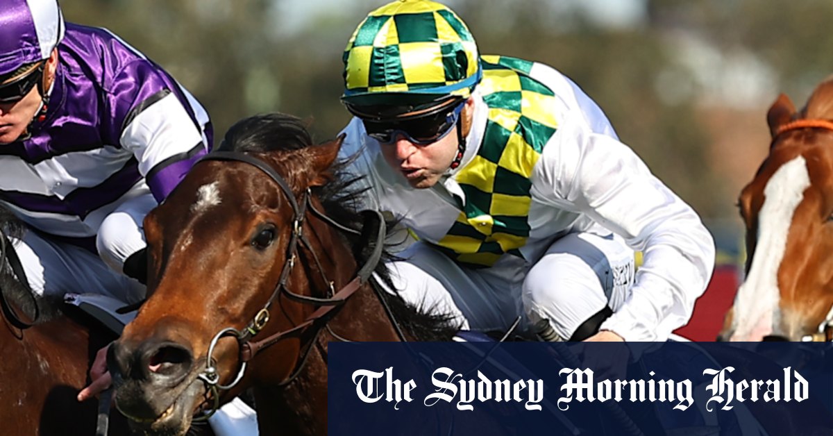 Sunshine In Paris Retirement: Track Injury Ends Racing Career | Horse Racing News