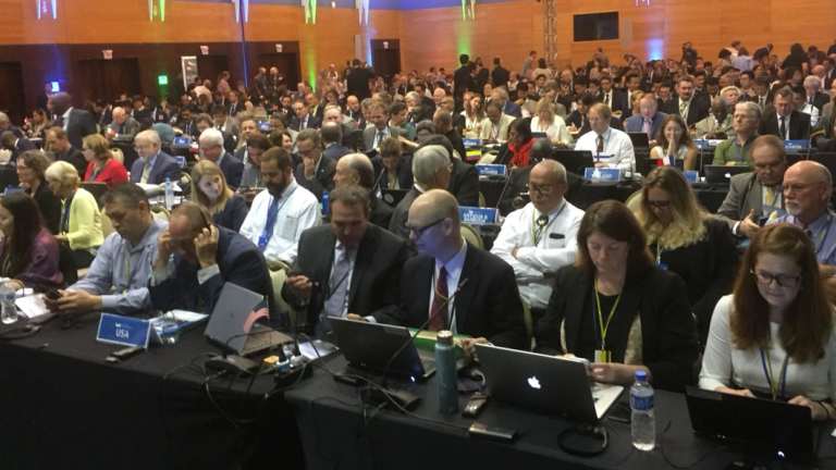 The floor of the International Whaling Commission's annual meeting in Florianopolis, Brazil. 