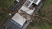 Thousands remain without power after wild winds and high heat in Sydney yesterday.