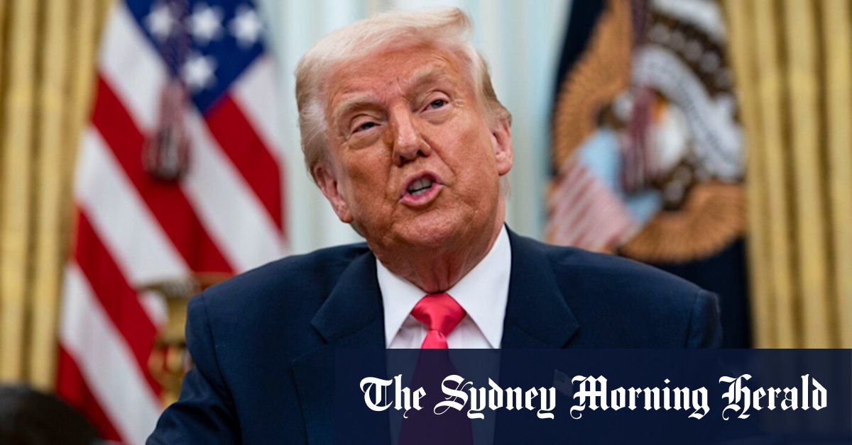 ‘I doubt it’: Top Trump adviser talks down chance of tariff exemption